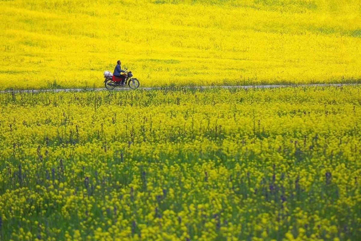 Xishan Wutong Qinyuan Хуаншан Екстериор снимка